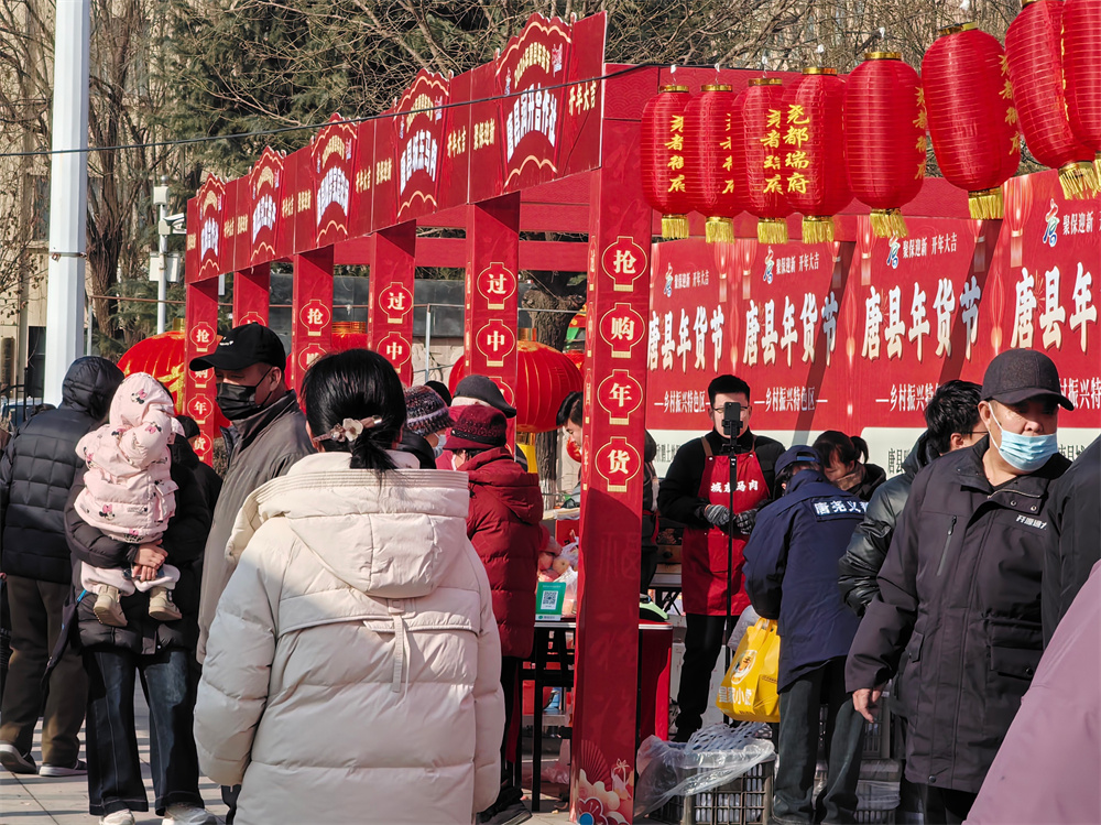 唐县年货节活动现场。宋林璟摄