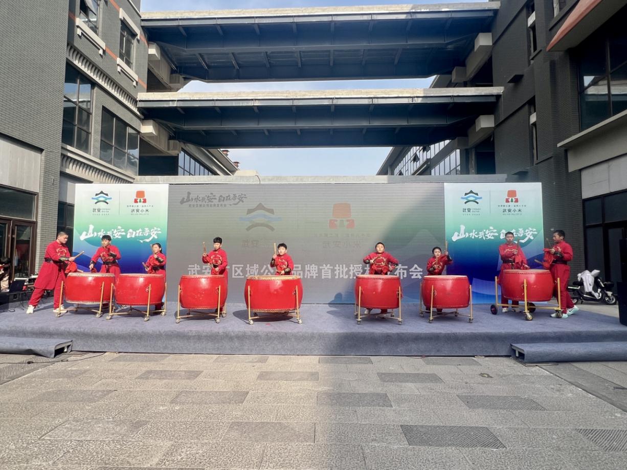 集中发布活动现场的文艺表演。张晶晶摄