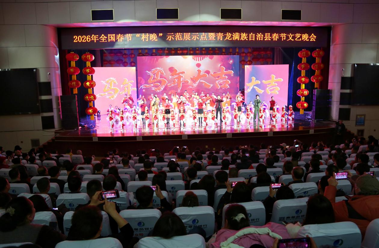 晚会现场。张宝摄