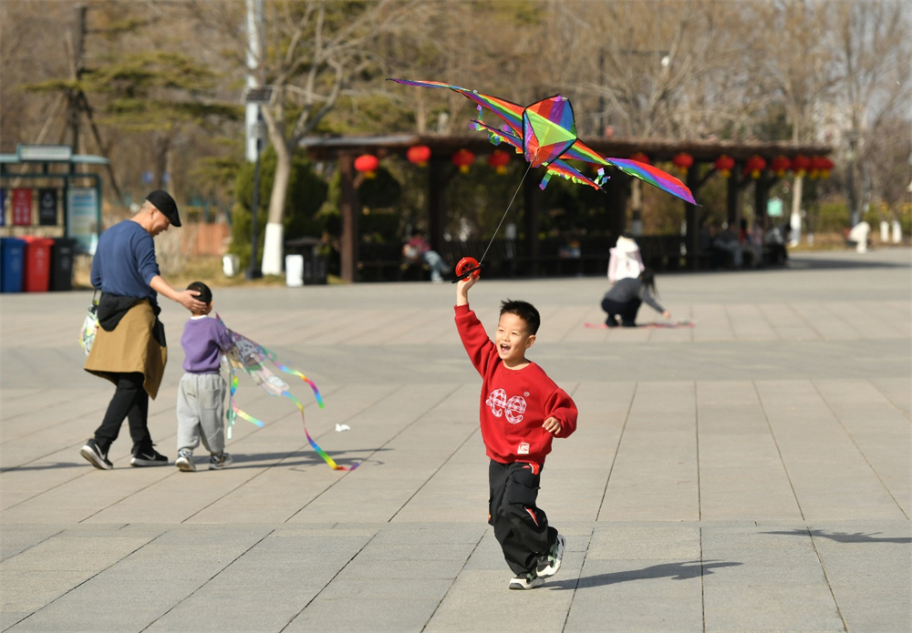 2月20日，市民在沧州狮城广场放风筝。苑立伟摄