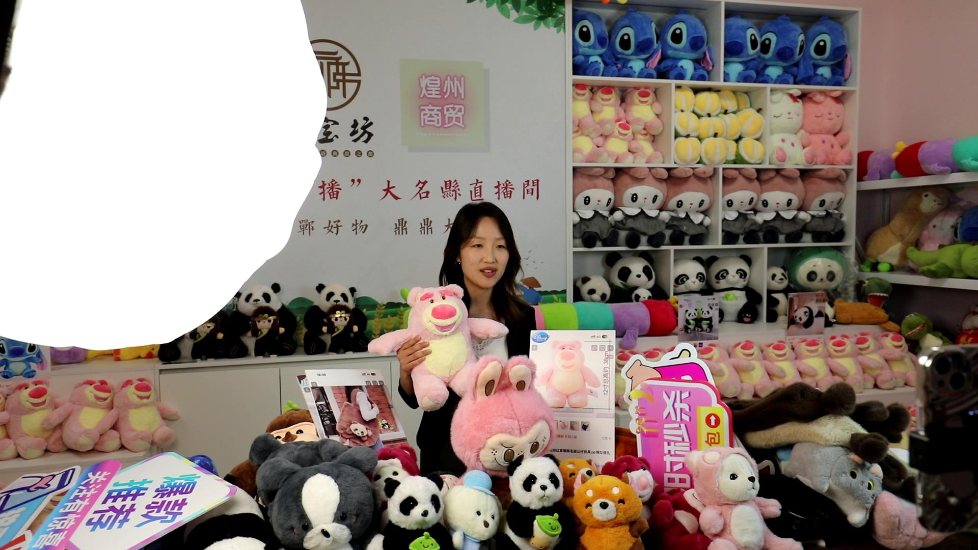 大名县“一品一播”电商产业园毛绒玩具直播间。习守政摄