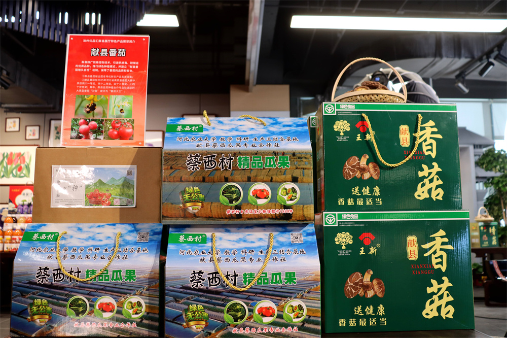 獻縣的特色農產品。李謙攝