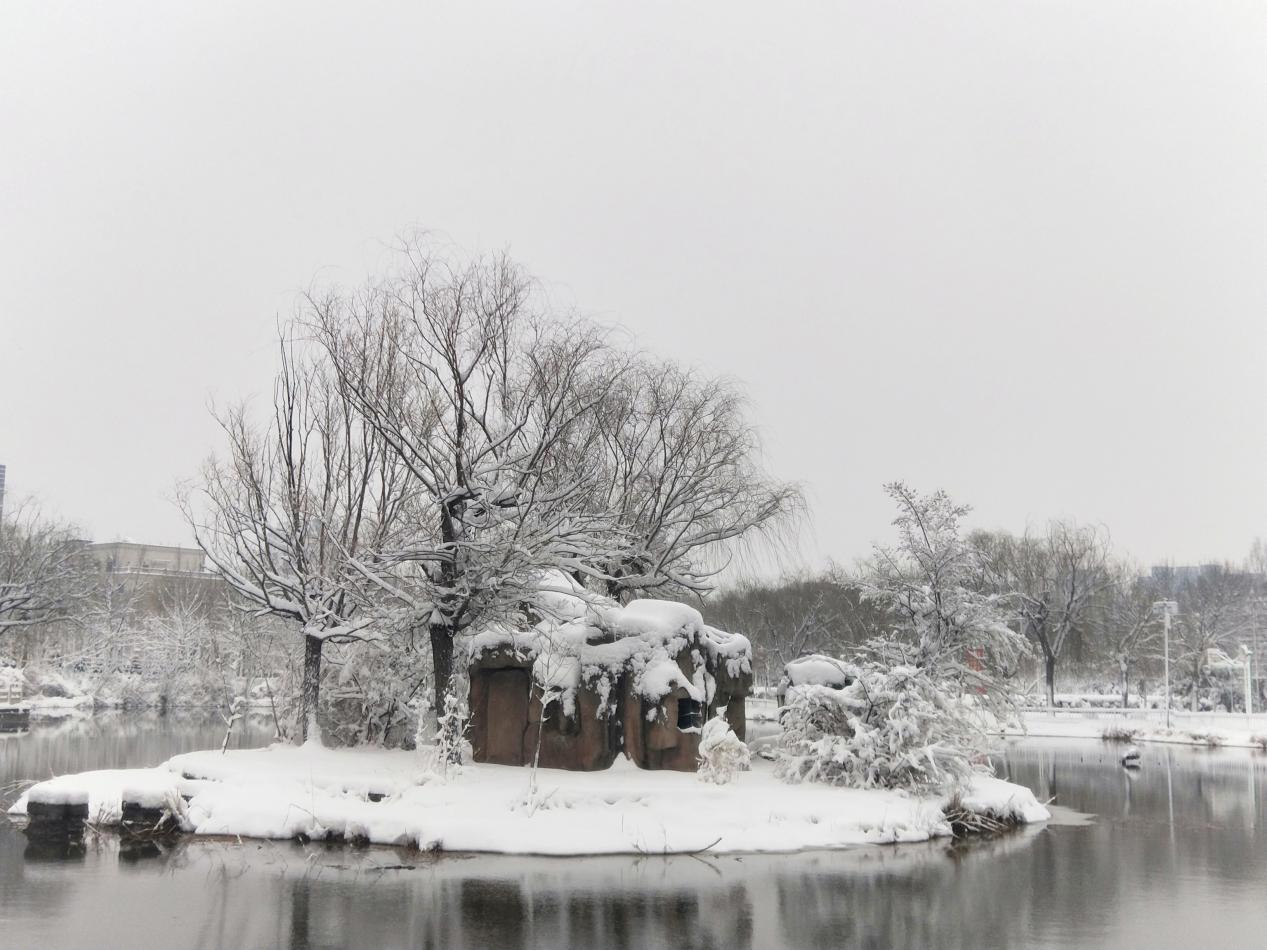 公园雪景。赵国华摄