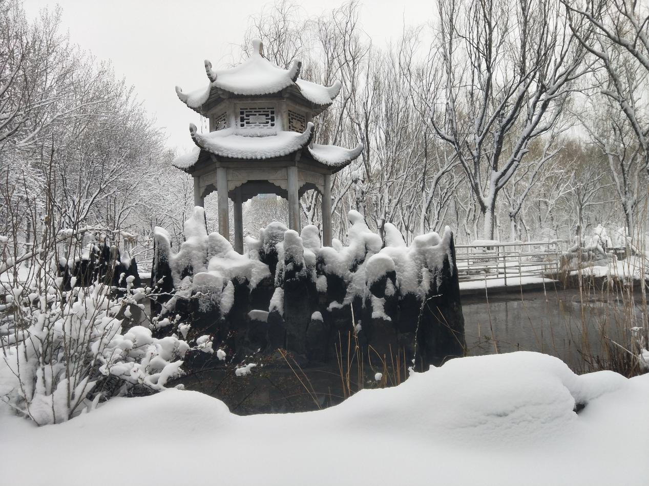 公园雪景。赵国华摄
