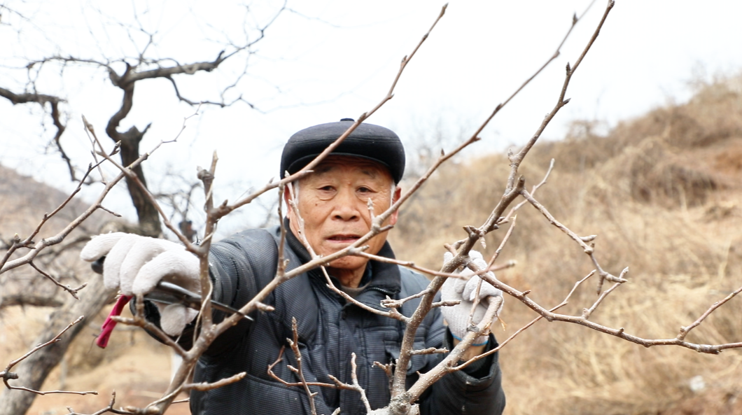 Ǩ���п�ѧ����Э����֯�ֹ�������Ա�����ذ���С�ش�ָ����ũ�Թ��������޼�����־����