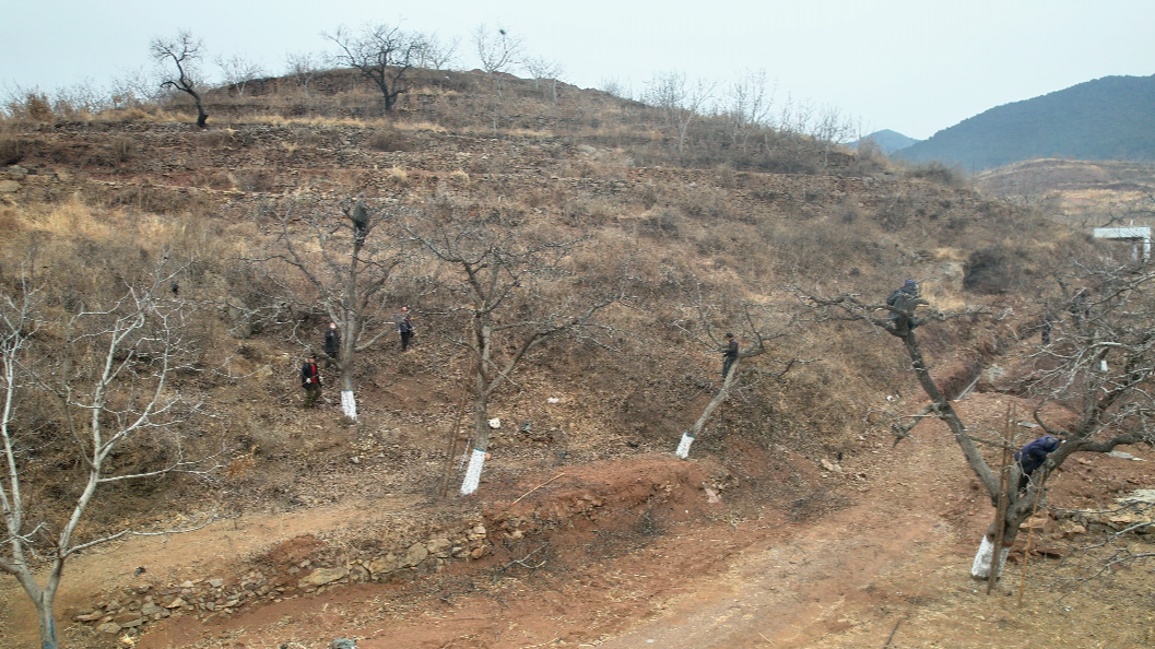 Ǩ���п�ѧ����Э����֯�ֹ�������Ա�����ذ���С�ش�ָ����ũ�Թ��������޼�����־��  ��