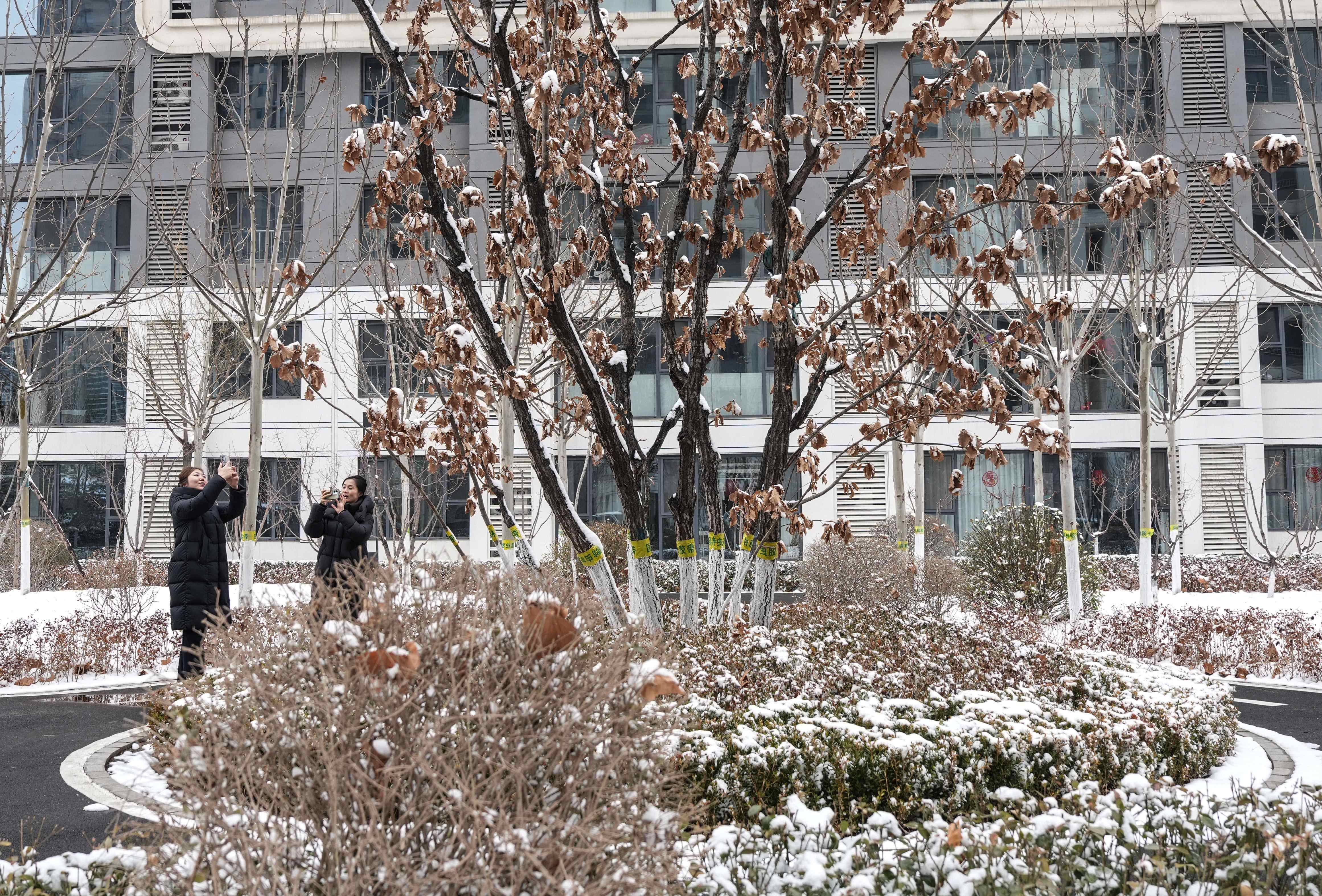 市民在金岭壹号院内拍照赏景。陈儒摄