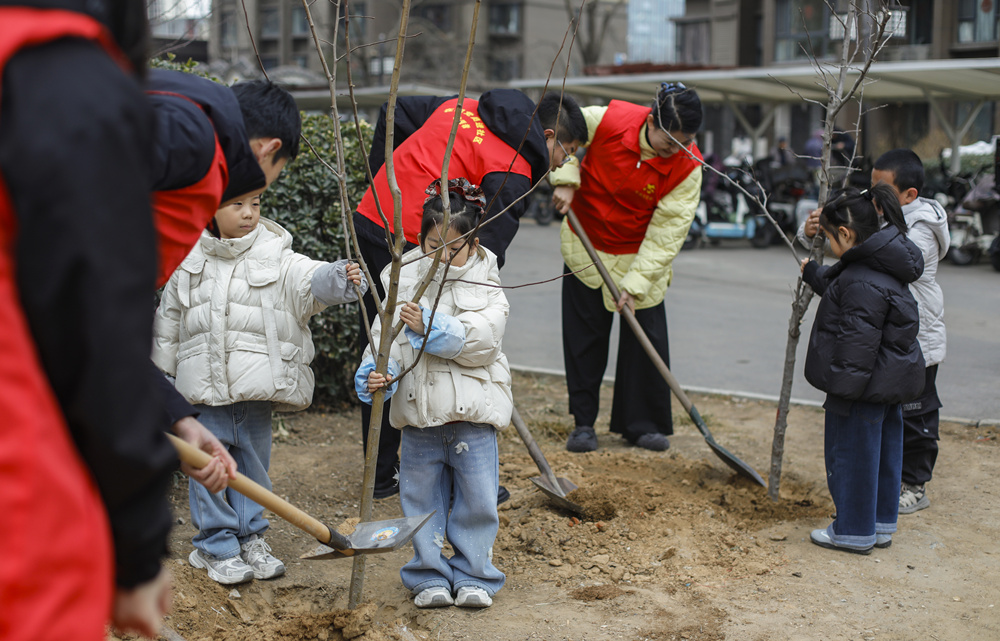 丰南区幼儿园的小朋友在小区内植树。陈军摄
