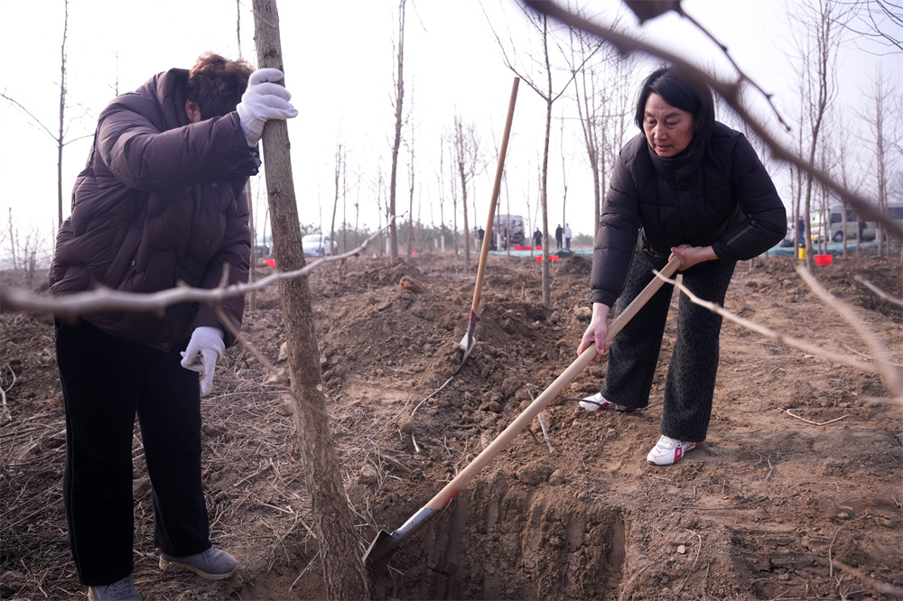 3月12日,河北省隆尧县尧山义务植树活动现场。张冬茹摄