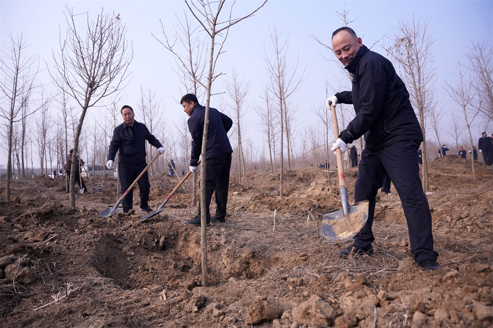 3月12日，河北省隆尧县尧山义务植树活动现场。张冬茹摄