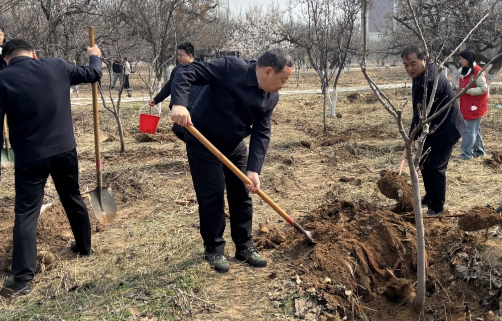 邯山区区级领导与干部群众在梨园公园参加植树活动。张超摄