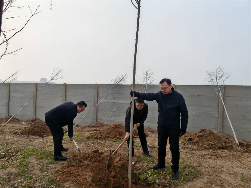 邯郸工业园区干部职工正在重点项目周边进行绿化。李海峰摄