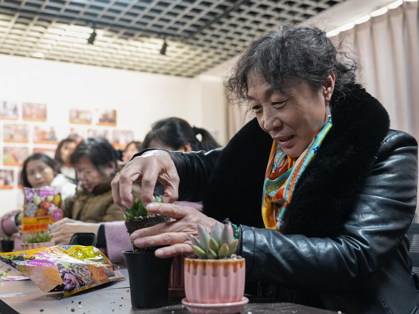居民认真种植盆栽。刘凤清摄