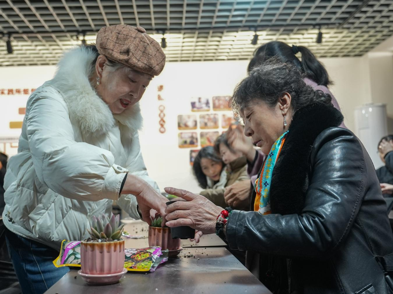 种植过程中,邻里之间互帮互助。刘凤清摄