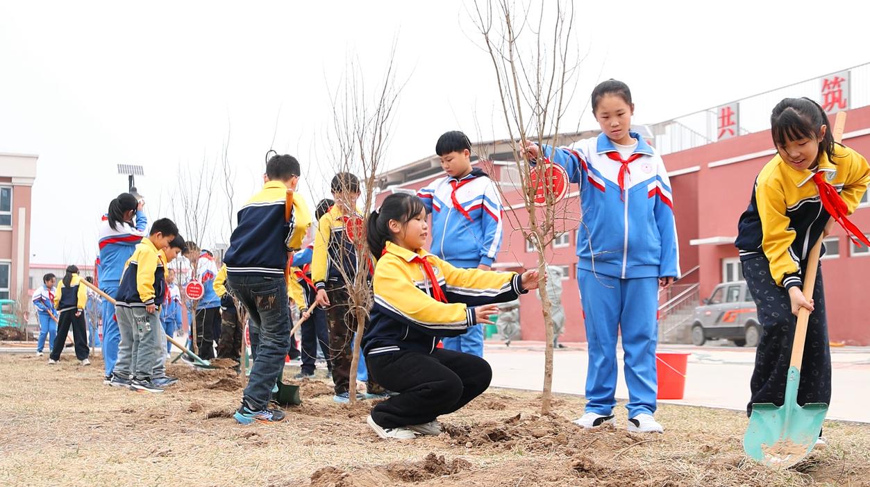 来自不同学校的同学们相互配合共同植树。赵宇摄