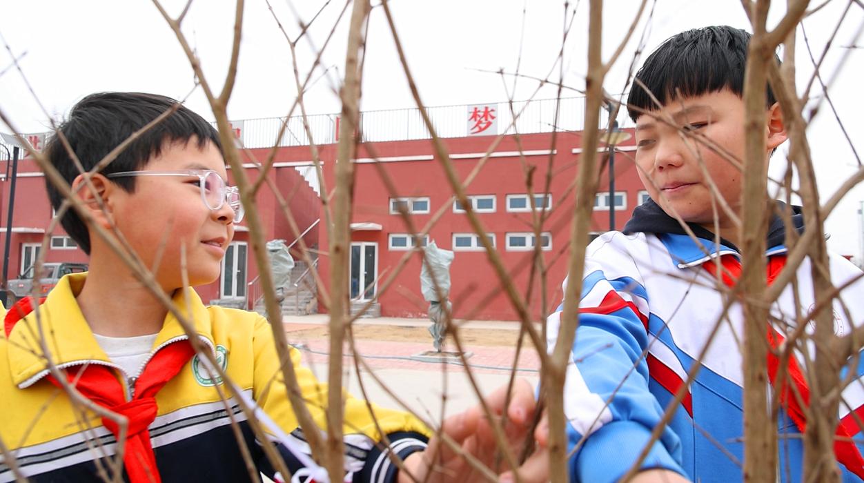 两名同学在植树的过程中“碰撞”出友谊。赵宇摄