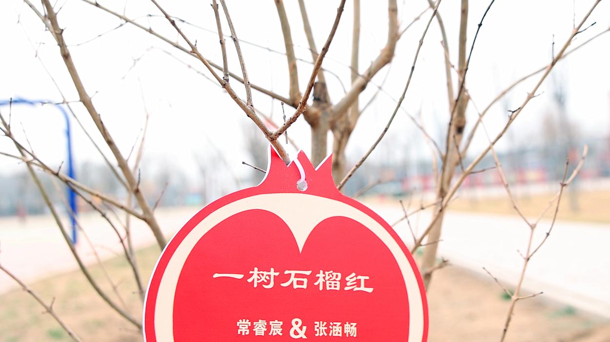 同学们在石榴树上留下名字。靳东凯摄