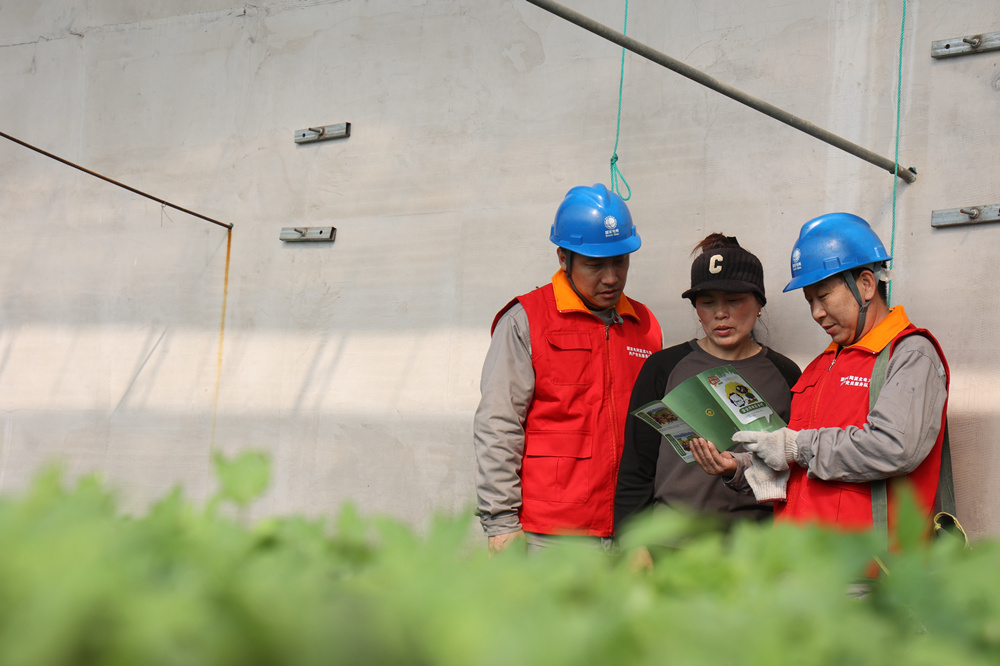 电力工作人员正在向农户讲解安全用电知识。周宇翔摄