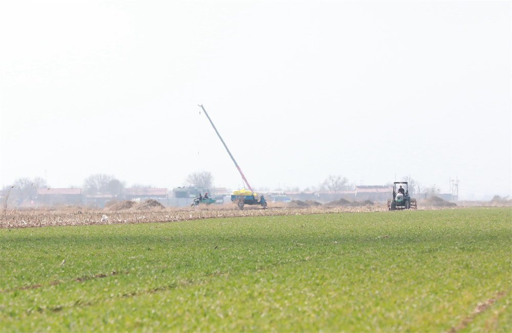3月18日,农民在麦田中利用机械施肥。田博摄