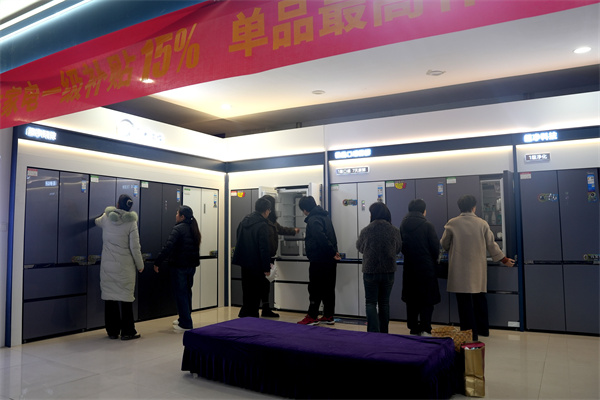 3月17日，市民在隆尧县一家商场内选购家电产品。王雪摄