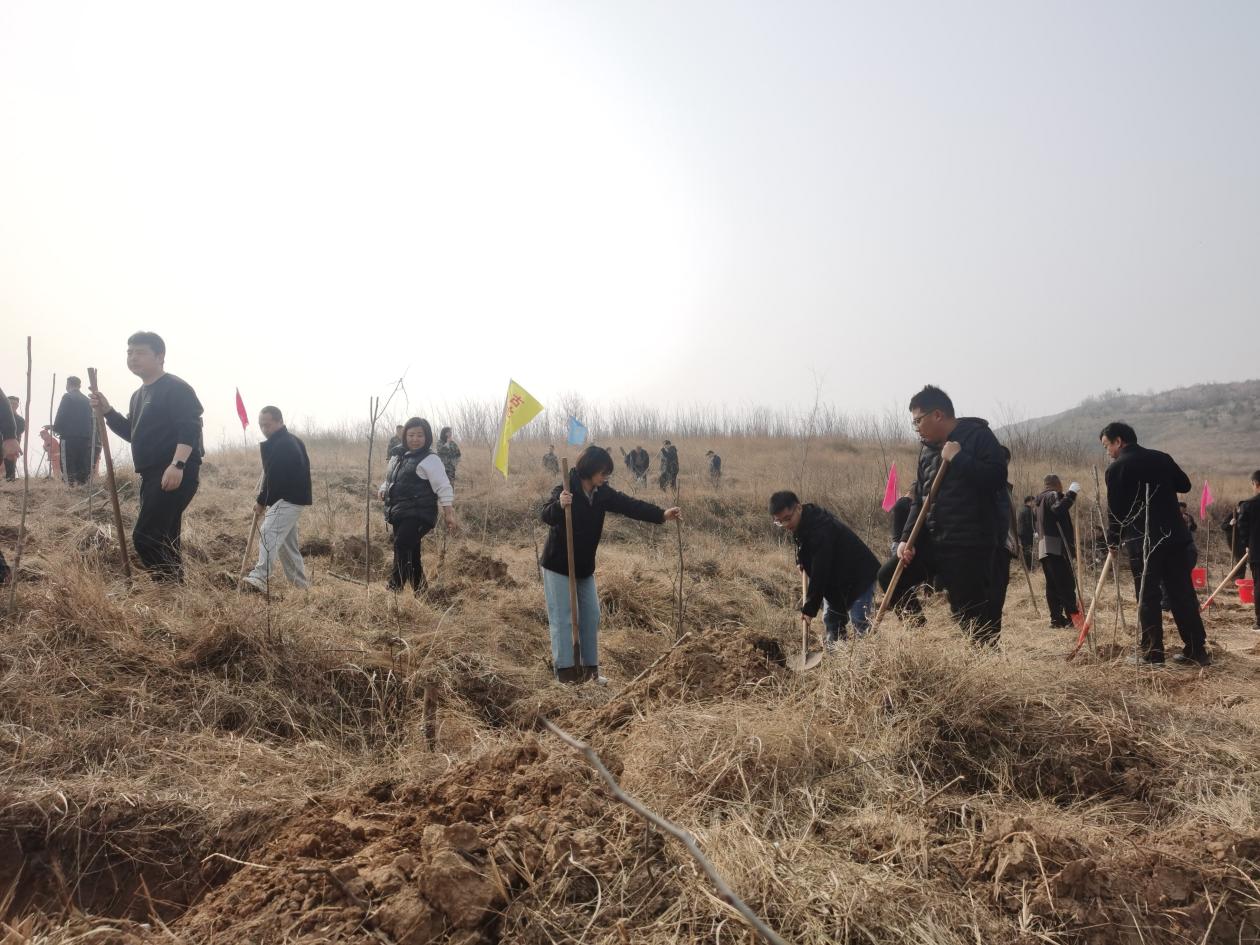 植树现场。于玉芬摄