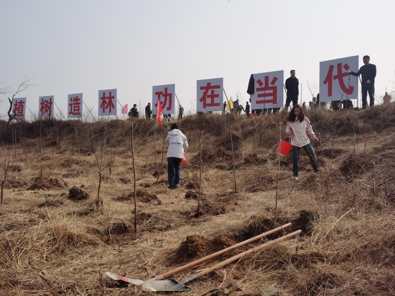 植树现场。于玉芬摄