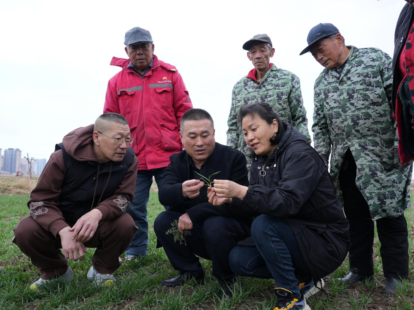 沧州市新华区农业农村局工作人员深入田间地头开展春季农田管理指导工作。刘一明摄