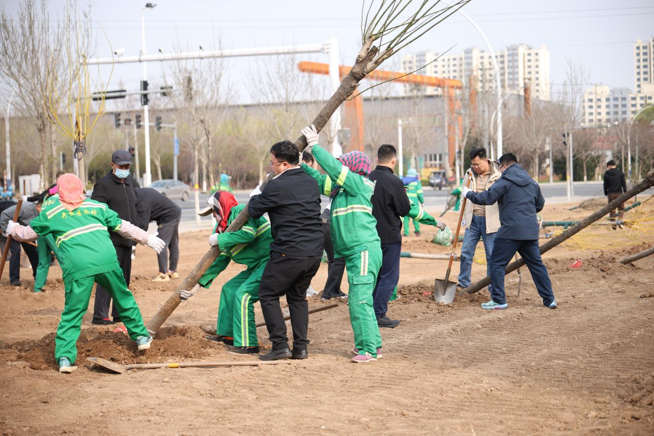 本次植树地位于沧州经济开发区兴业路与开曙街交口东南区域。孔超摄