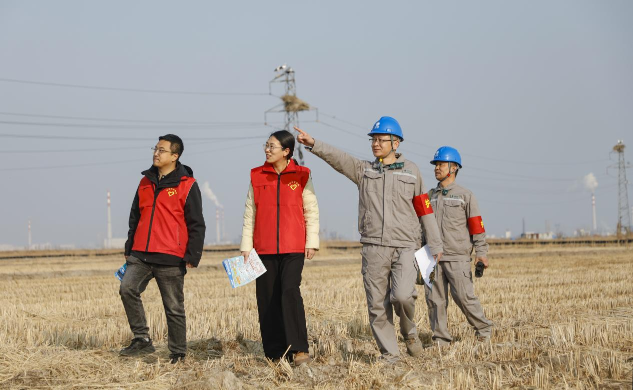 丰南区气象局工作人员和电力工人一起在东方白鹳筑巢地巡查。陈军摄