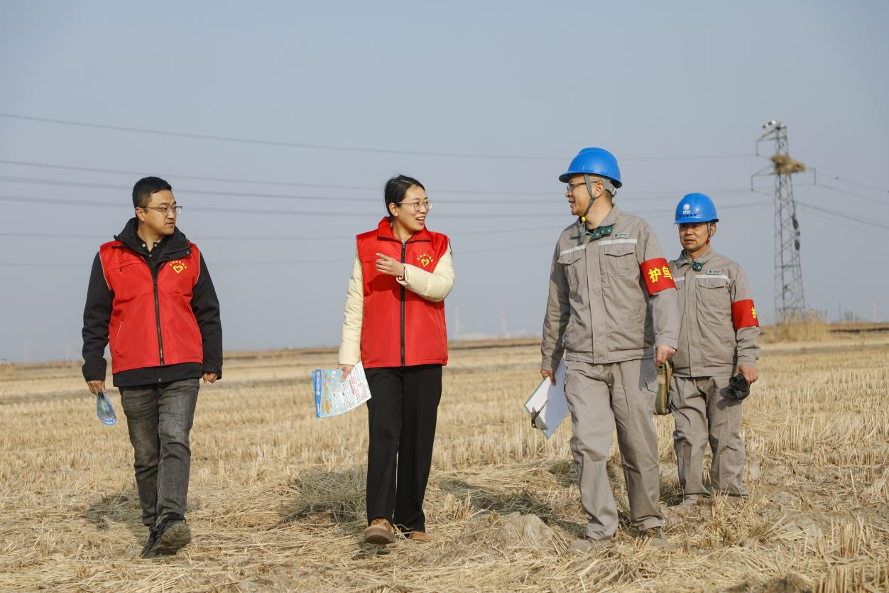 丰南区气象局工作人员和电力工人一起在东方白鹳筑巢地巡查。陈军摄