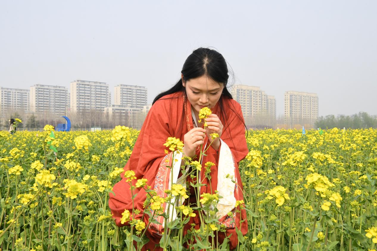 市民走进成安县千亩油菜花核心观赏区踏春赏花、拍照打卡。许朋钰摄