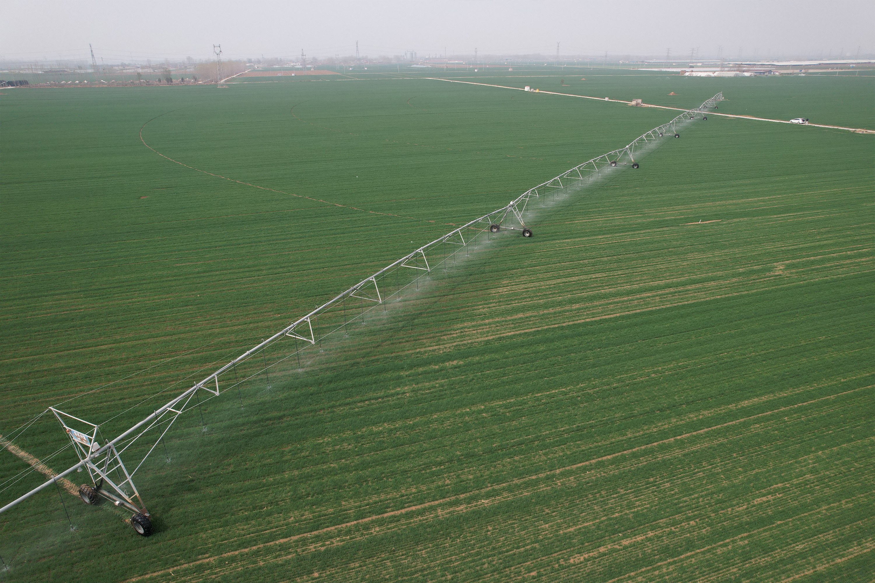 指针式喷灌机沿着预定轨道作业。吴潇摄