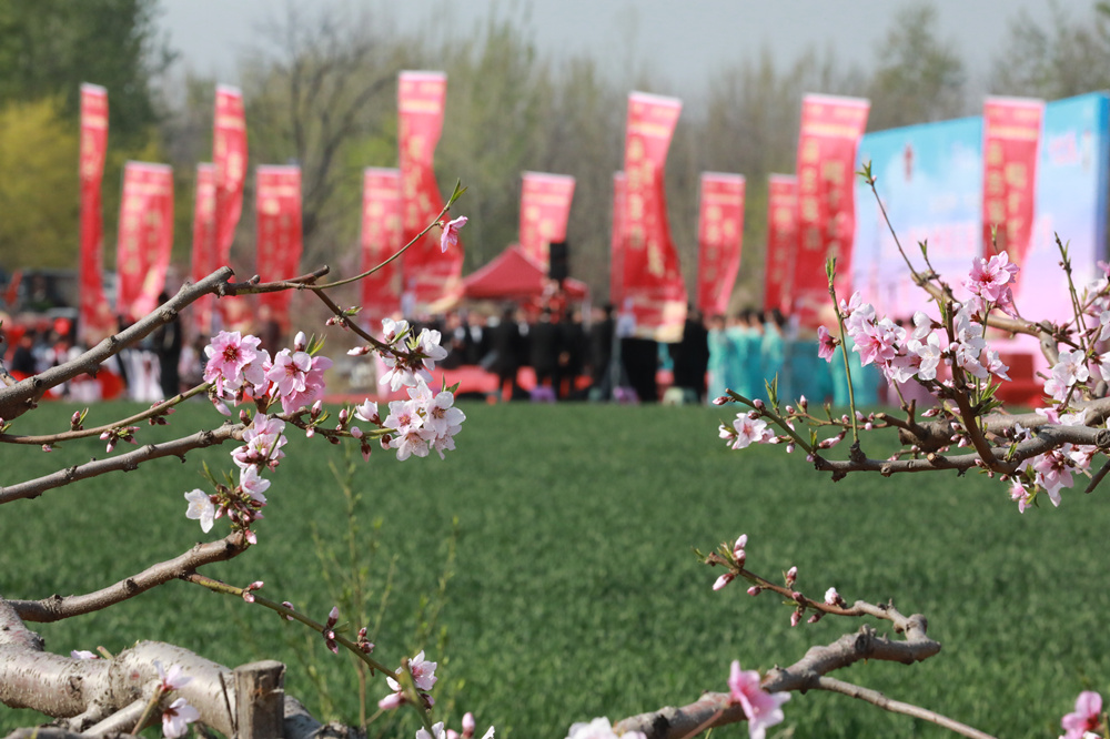 4月8日，大運河畔的捷地鎮桃園正在舉辦文藝活動。田博攝