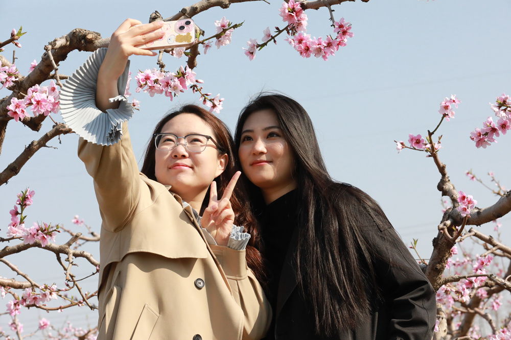 4月8日，游客在大运河畔捷地镇桃园拍照留念。田博摄