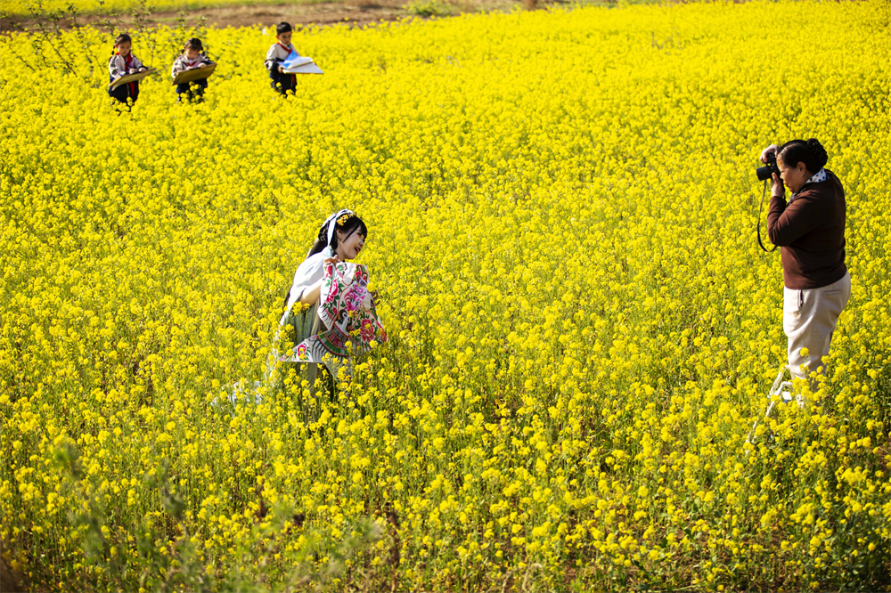 河北省邯郸市复兴区康庄乡观岭山风景道，油菜花盛开，吸引众多游客沉浸式赏花打卡、踏青游览。聂长青摄