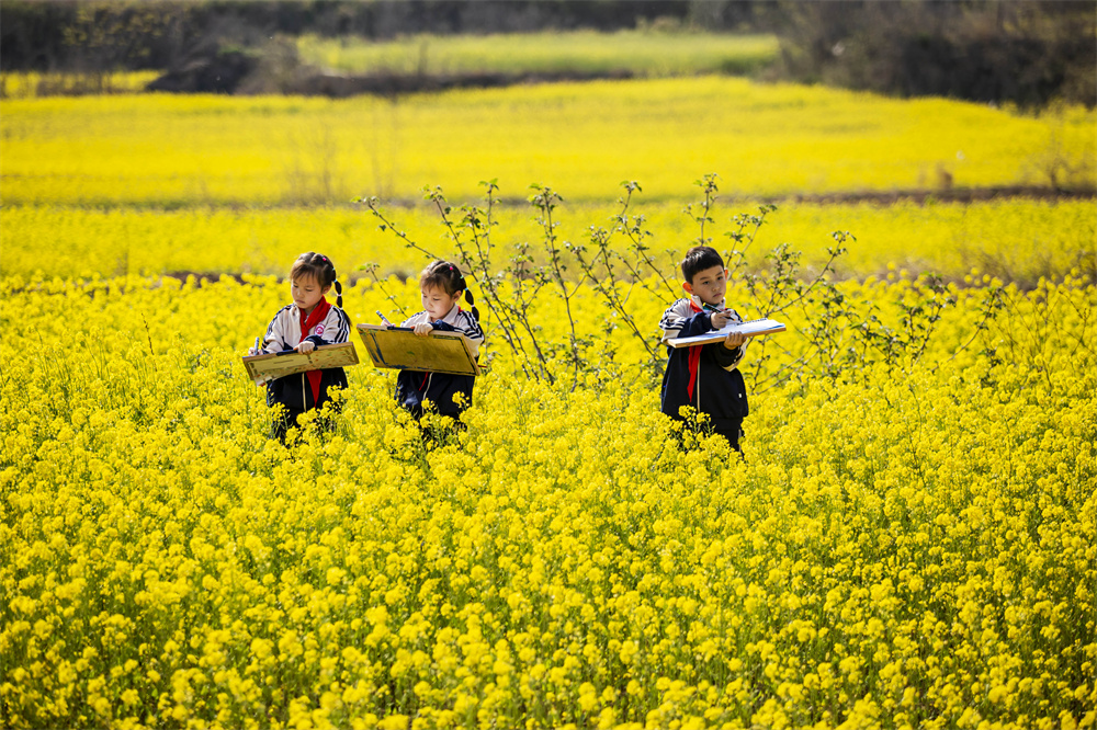河北省邯郸市复兴区康庄乡观岭山风景道，复兴区实验小学的孩子们在油菜花田写生。聂长青摄