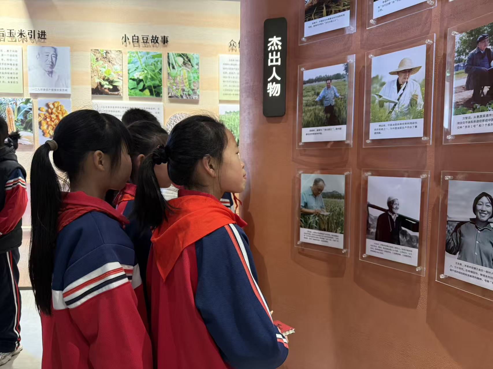 学生们在井店镇王金庄村的种子文化博物馆参观。程蕾摄
