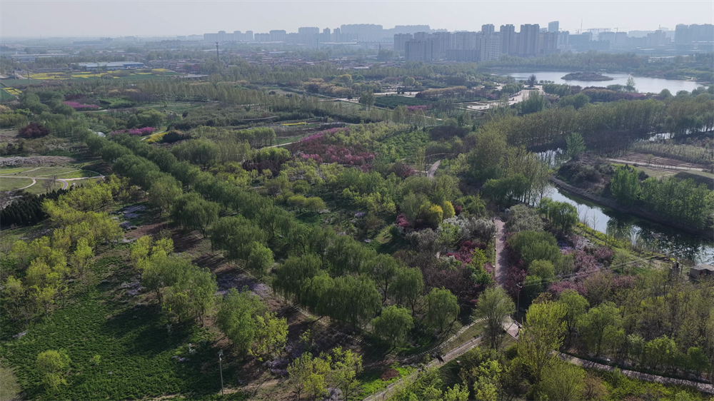 大名森林生态园。习守政摄