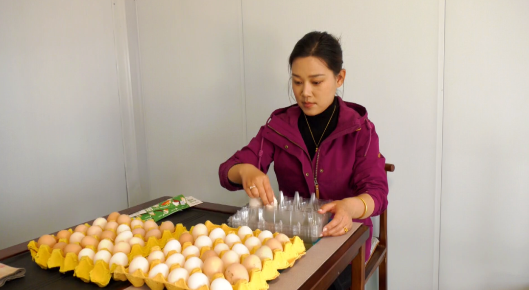 涉县青禾农场散养柴鸡蛋。康金摄