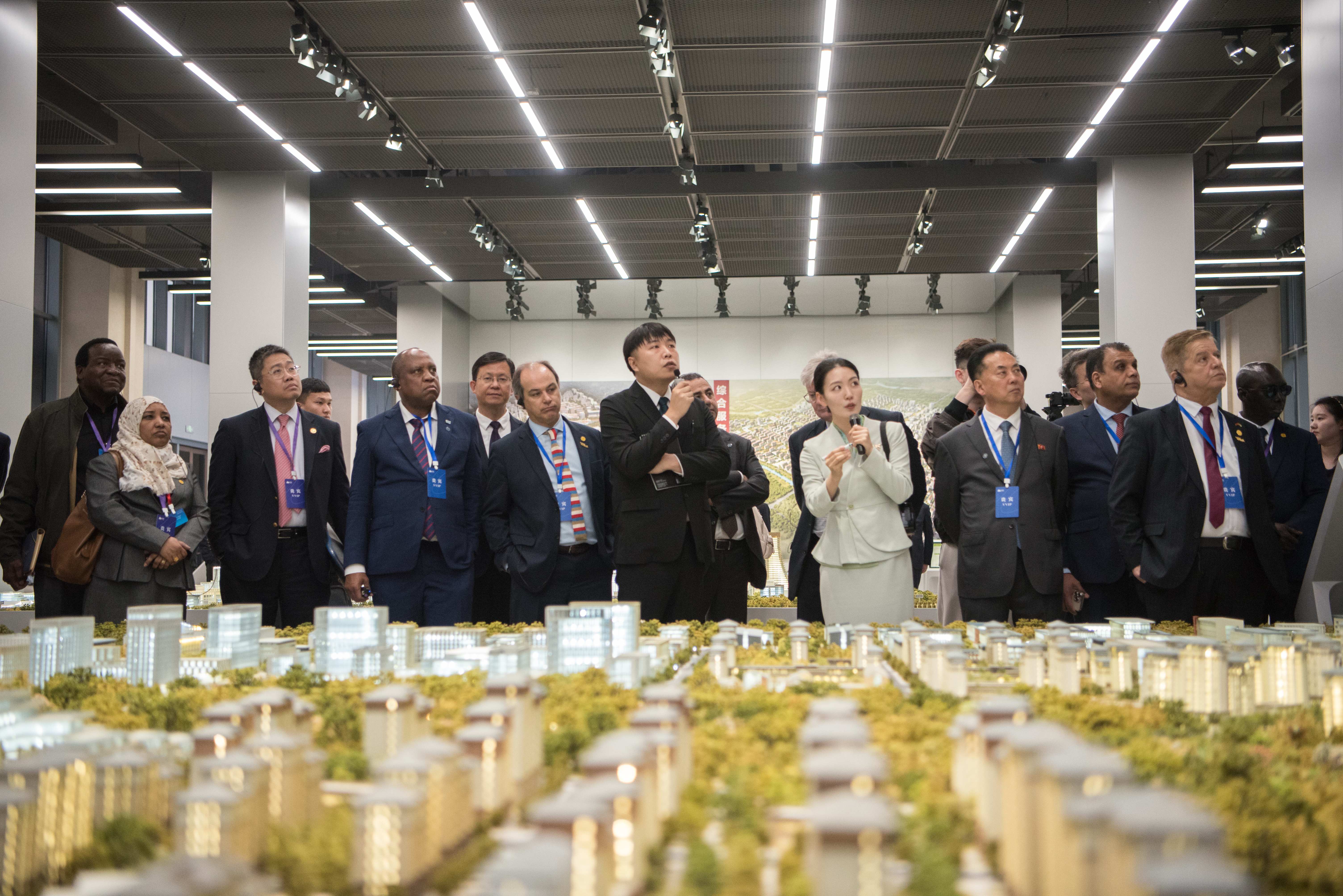 驻华使节代表团在雄安新区考察启动区综合服务中心。刘尊拴摄