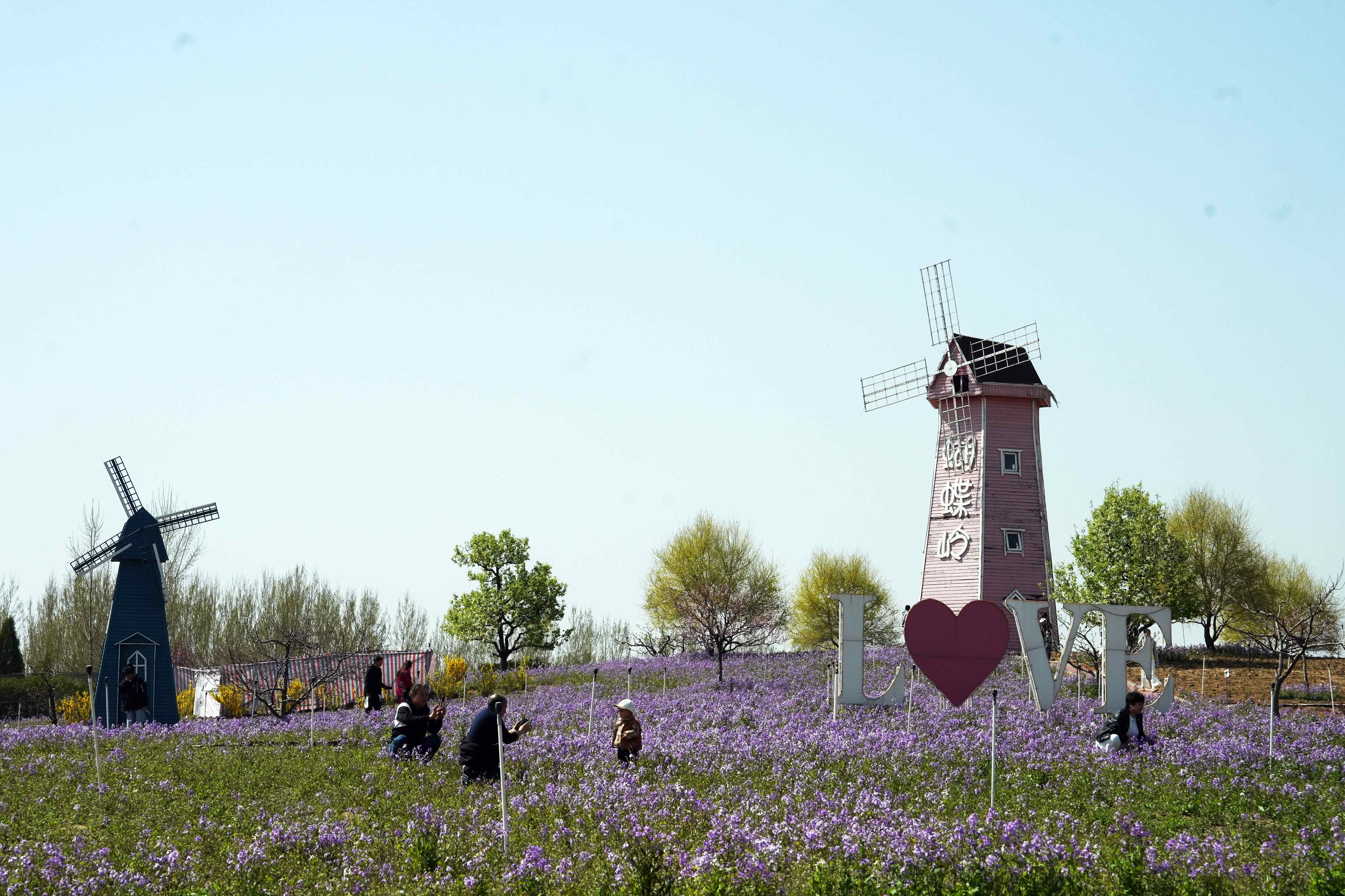 4月11日，游客在河北亞灤灣農業公園游玩拍照。彭月娟攝