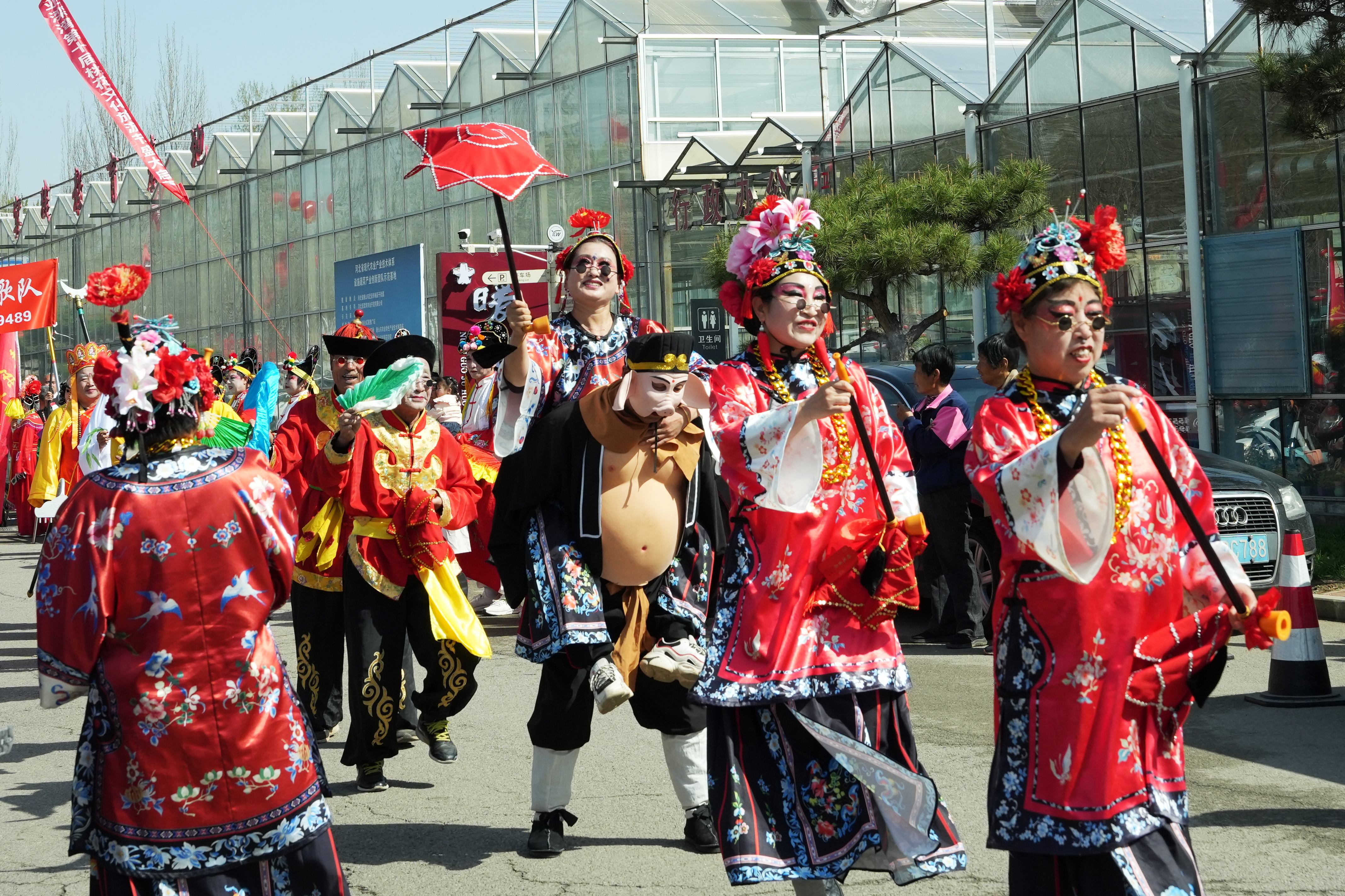 4月11日，在河北亞灤灣桃花節上，游客正在欣賞地秧歌展演。彭月娟攝