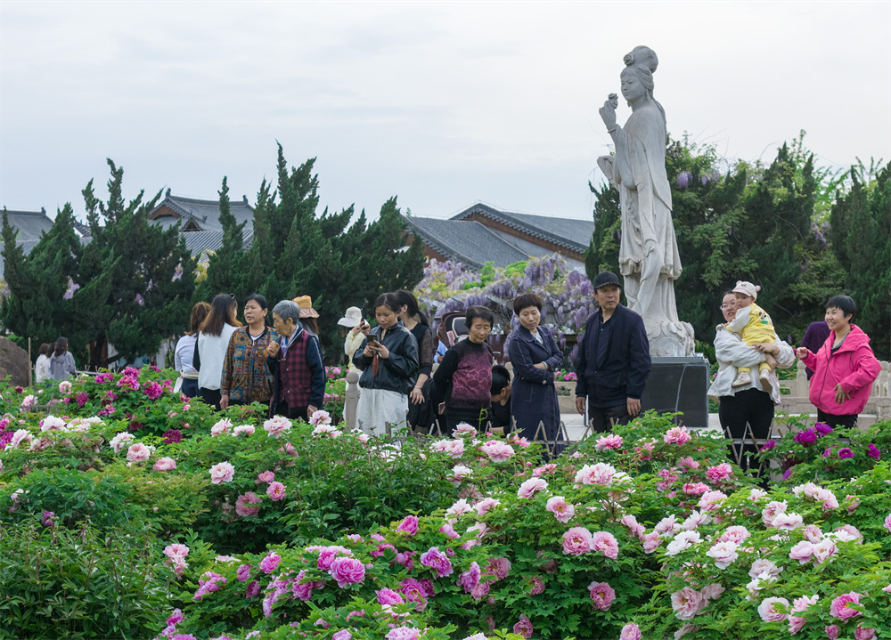 游客在东山文化博艺园踏青赏花。李树锋摄