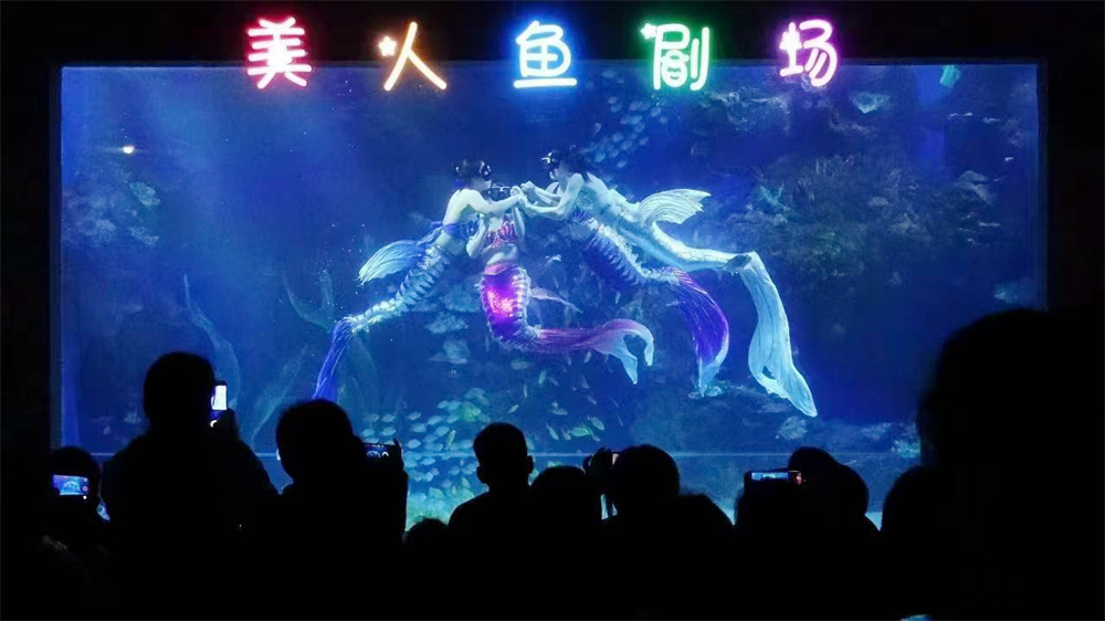 在邯郸海洋世界，小朋友正在观看美人鱼表演。韩艳萍摄