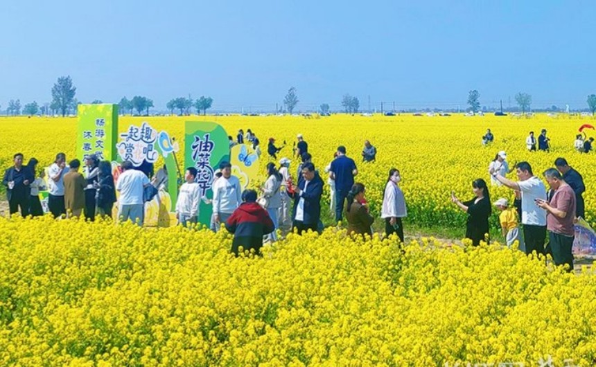游客观赏油菜花。张金元摄
