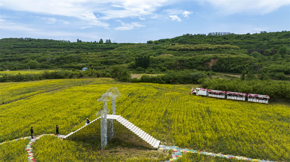 游客乘坐观光小火车游览花海。聂长青摄