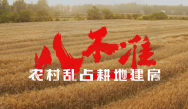 “八不准”農村亂佔耕地建房