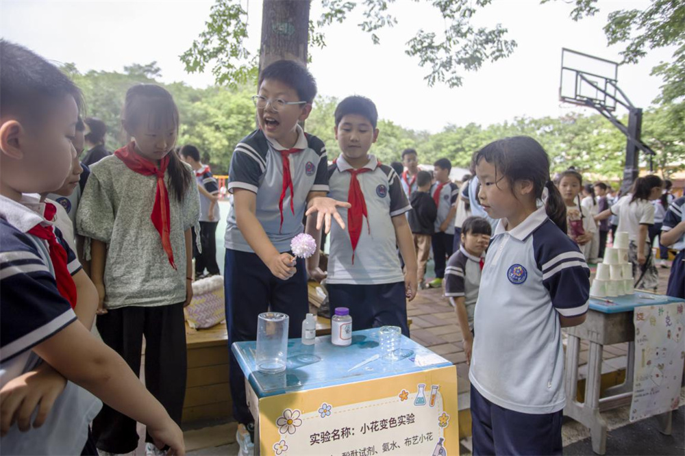 5月18日，河北省邯郸市复兴区百花小学，同学们演示花朵变色实验。聂长青摄