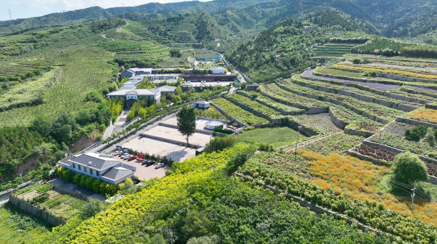 俯瞰花海小镇。梁志清摄