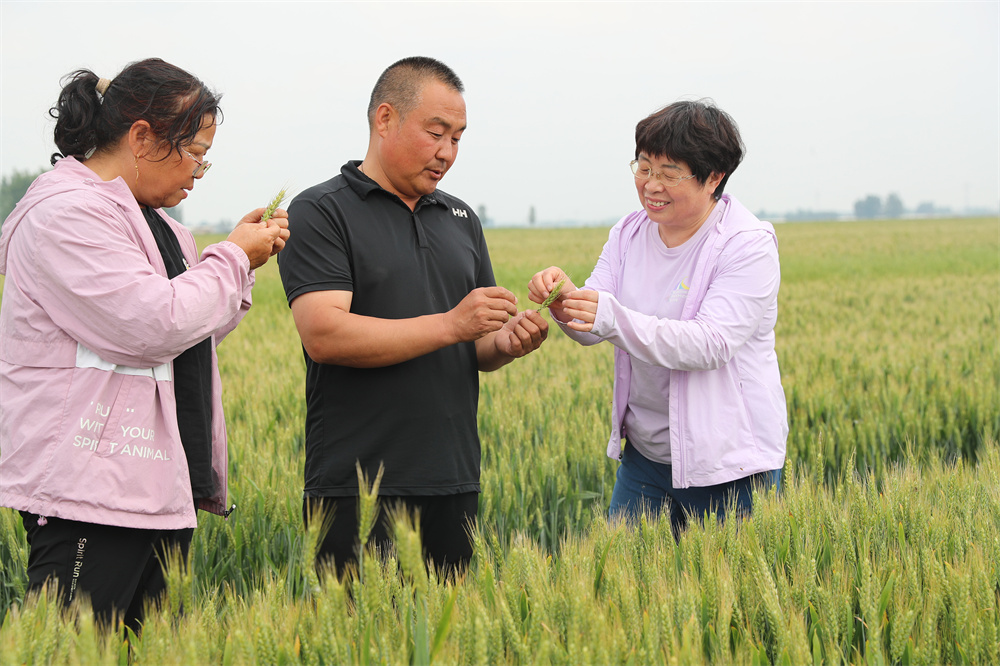 向种植户讲解管护要点。吴潇摄
